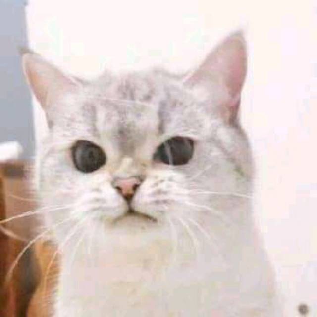 fikrihidayaturrohman07