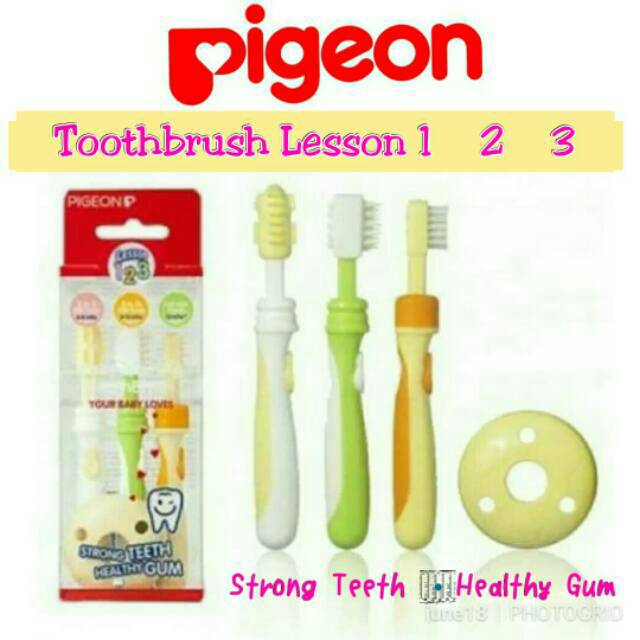 pigeon toothbrush set