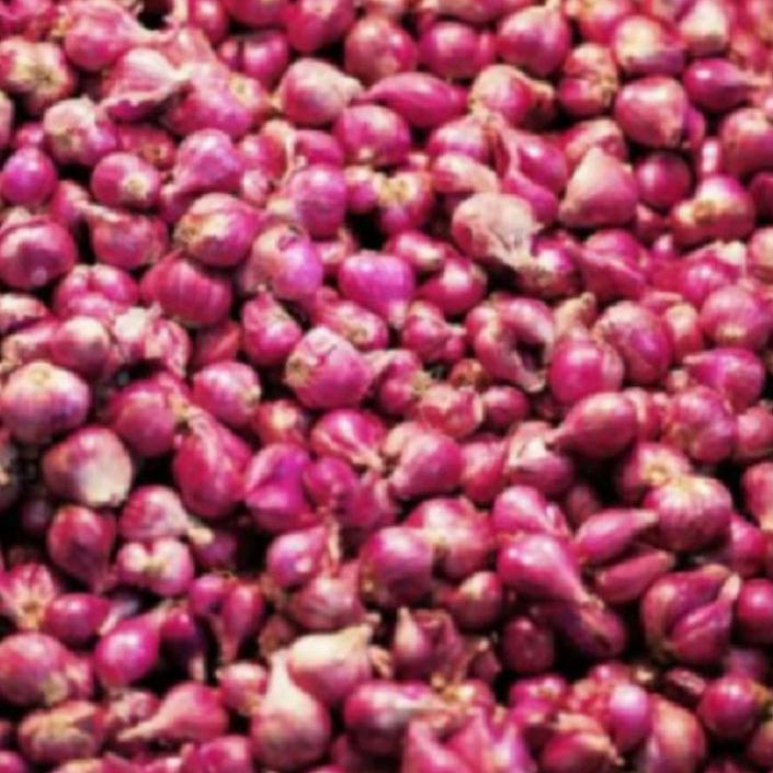 

Awal Bulan Bawang Merah Campur Kering Kecil | TERPOPULER | VIRAL | TIKTOK