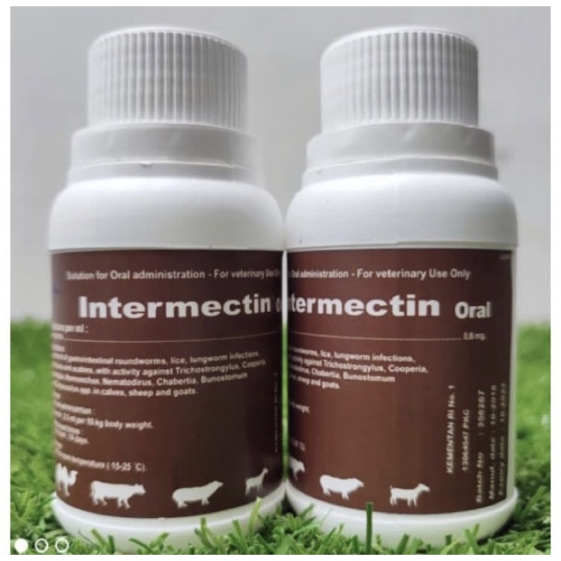 Intermectin oral 100ml obat scabies/gudik untuk hewan ternak