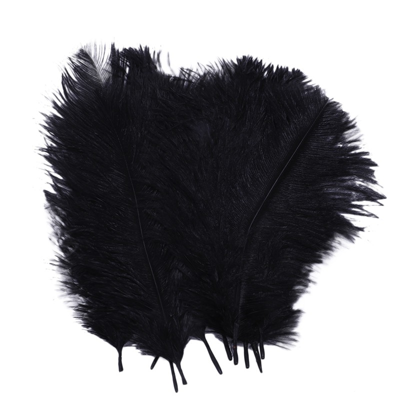 Bulu Burung Onta Alami Cantik Warna Hitam 10 Shopee Indonesia