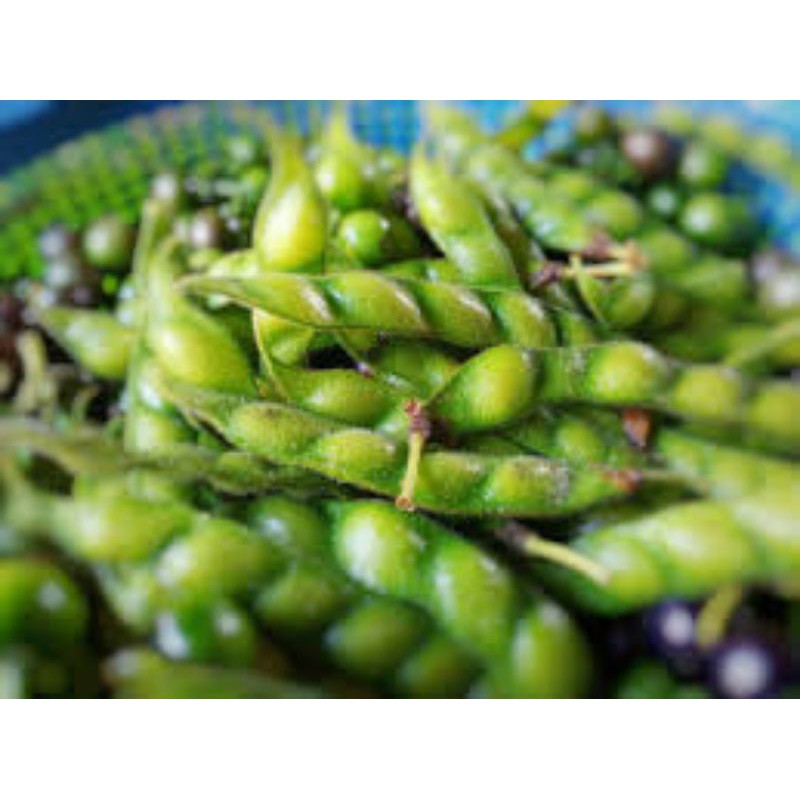 

Kacang Hiris Atau Kacang Gude Segar untuk Sayuran dan Obat 200gram