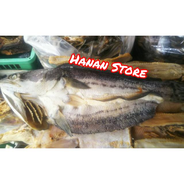 

IKAN ASIN TOMAN | 1 KG | TANPA FOR MALIN | TANPA PENGAWET | IKAN ASIN GABUS | ASLI KALIMANTAN BARAT