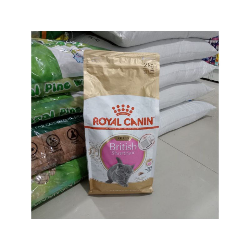 Royal Canin British Shorthair Kitten 2kg | makanan kucing anakan british royal canin anakan