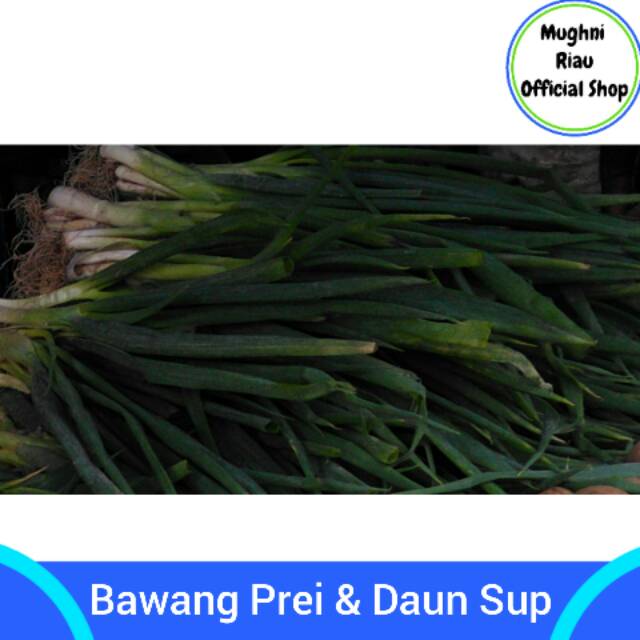 

Bawang Prei dan Daun Sup Per Ikat Kecil