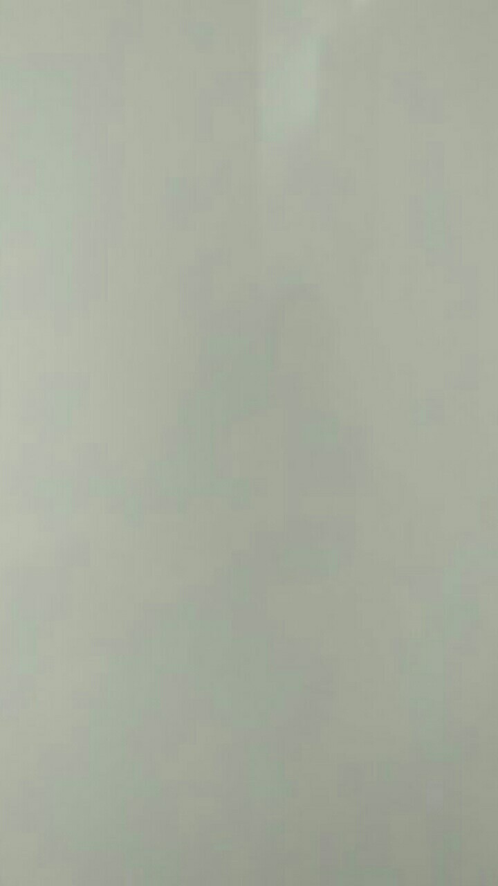 Mata Gergaji Kayu Circular Saw Blade Progent 10 Inch X 24t