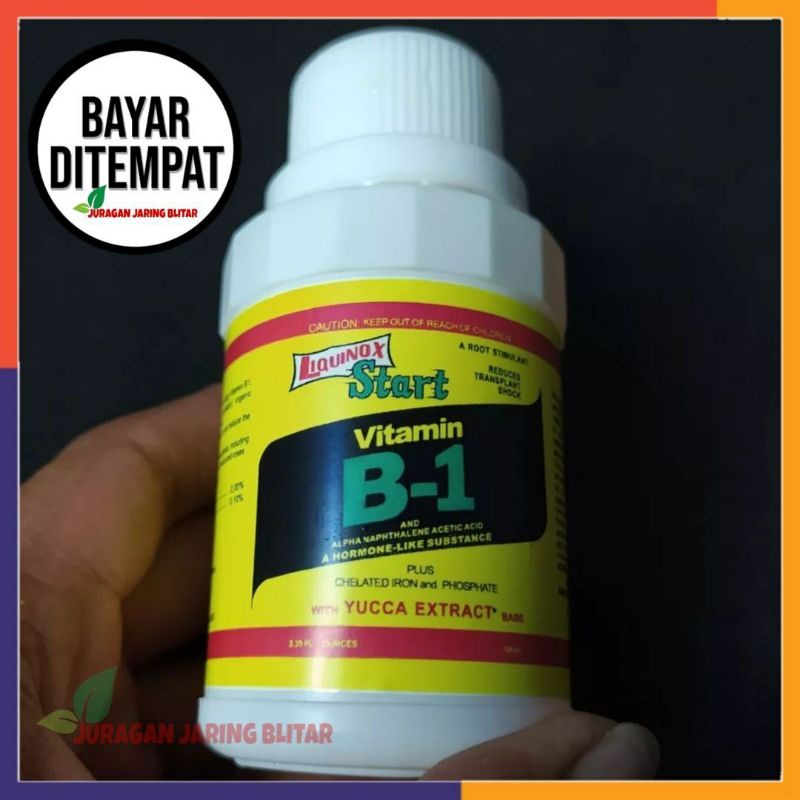 Jual VITAMIN B1 100ml Tanaman Liquinox Mengurangi Stres Saat Pindah ...