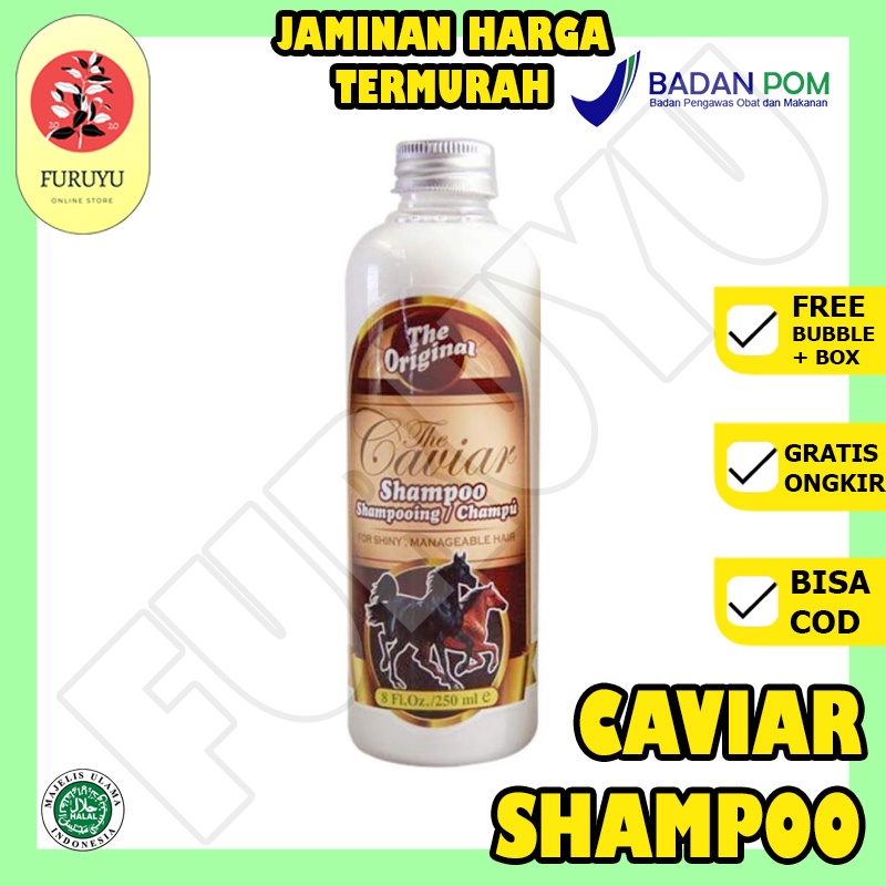 The Caviar Shampoo Caviar Ori BPOM Shampo Kuda Caviar Sampo Kuda Penumbuh Rambut