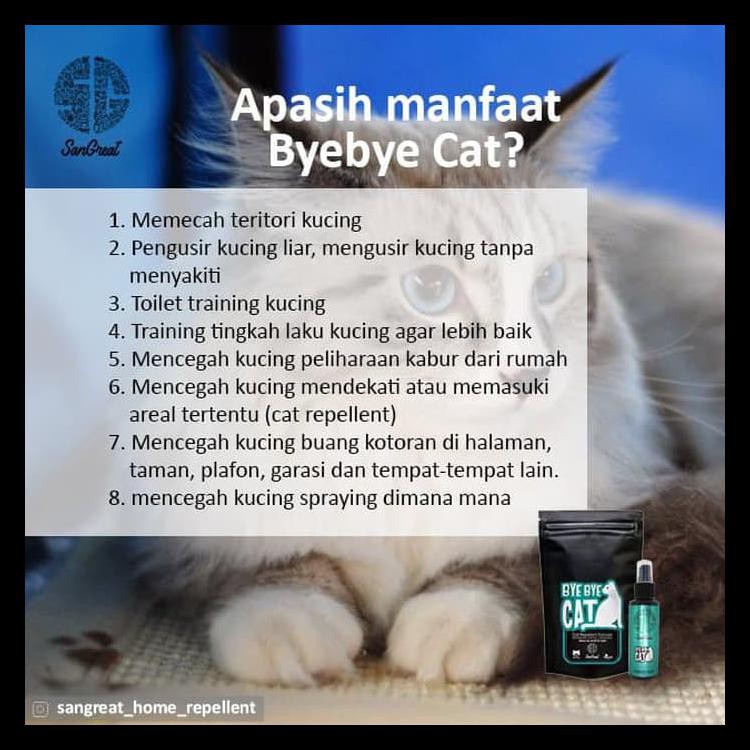 Cara Usir Kucing Di Atap Rumah Sekitar Rumah