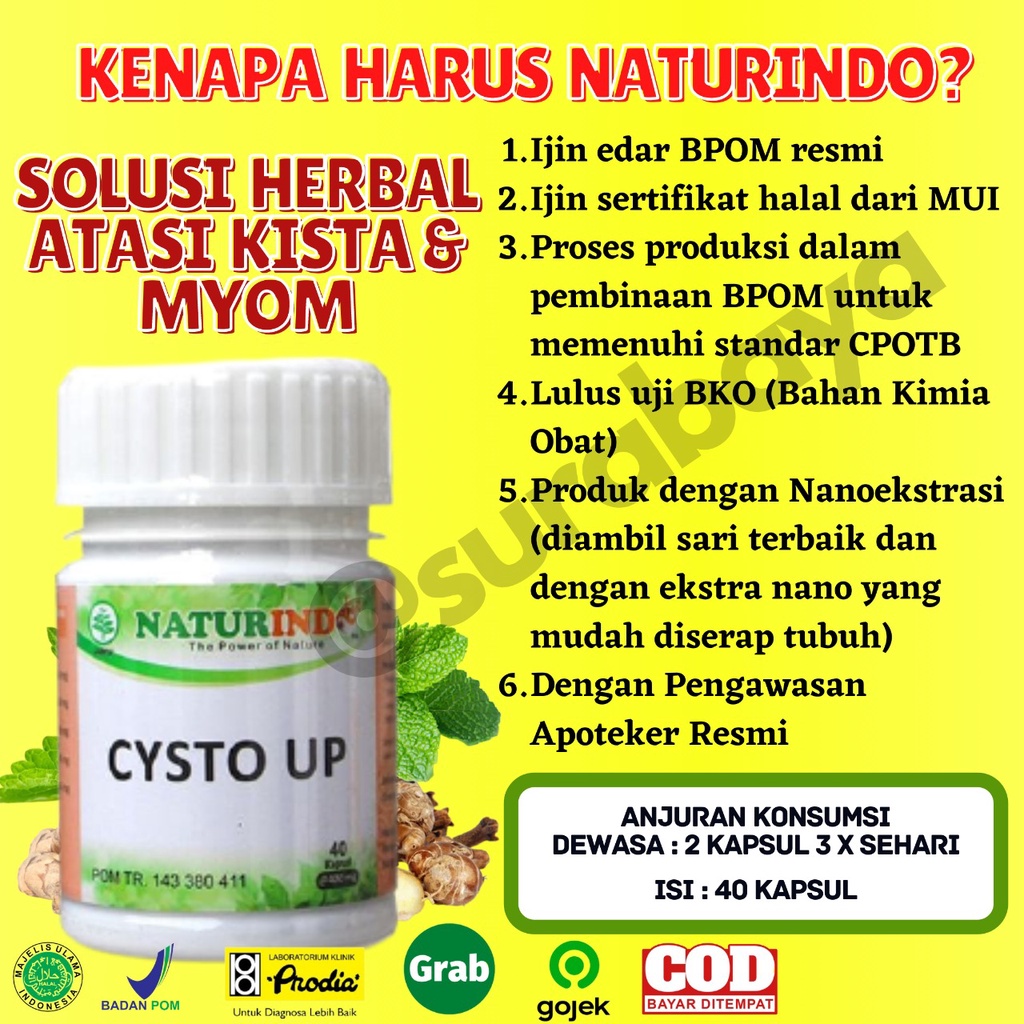 Obat Kista dan Miom Ovarium Obat Herbal Kista Bartholin Obat Penyakit Rahim Obat Cista Cysta Obat Miom Myom Coklat Obat Kista Endometriosis Ampuh Jamu Herbal Kista Miom Tumor Mioma Ampuh BPOM HALAL MUI CYSTO UP Naturindo Surabaya 40 Kapsul-7