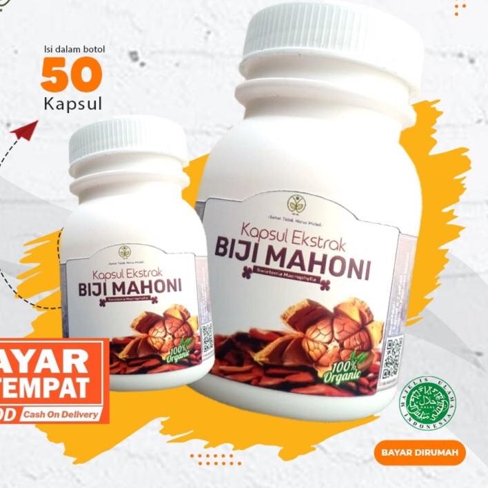 Silver Promo Kapsul Biji Mahoni Kering Obat Herbal Diabetes Hipertensi Kencing Manis Darah Tinggi Di