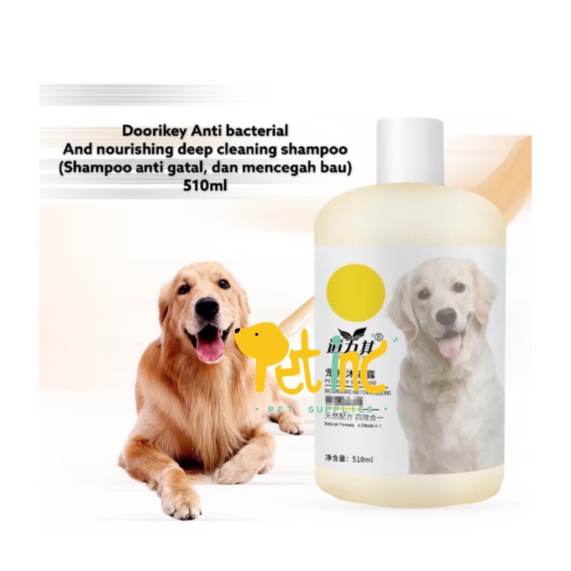 Doorikey anti bacterial and nourishing shampoo 510 ml (shampoo anti gatal)