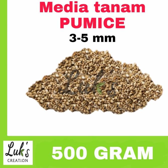Media tanam PUMICE 500 gram batu apung tanaman kaktus