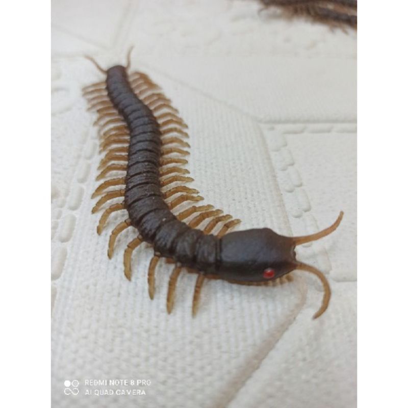 mainan kelabang besar untuk prank