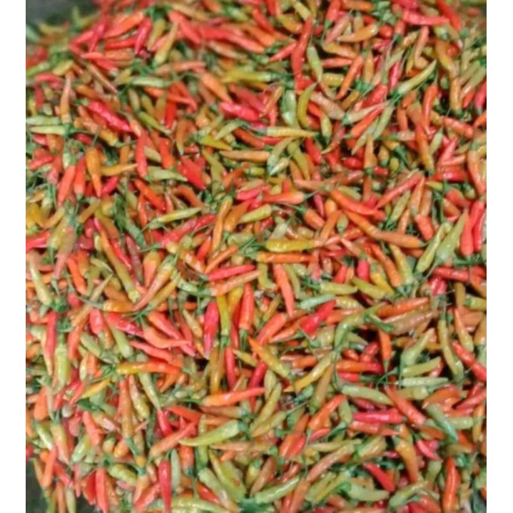 

cabe rawit 250 gr