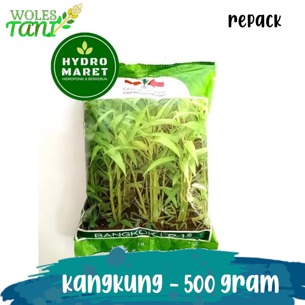 Bangkok 500 Gram Benih Kangkung