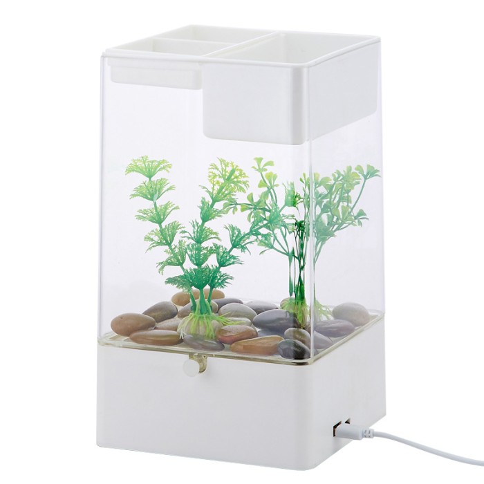 Desktop Acrylic Mini Aquarium / Akuarium Import