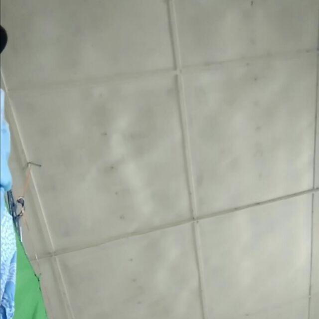 Ratu Shofia Couple Brokat Tile Ld100cm