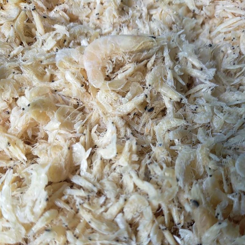 

Udang Rebon/Udang Kecopai Halus Khas Bagansiapiapi