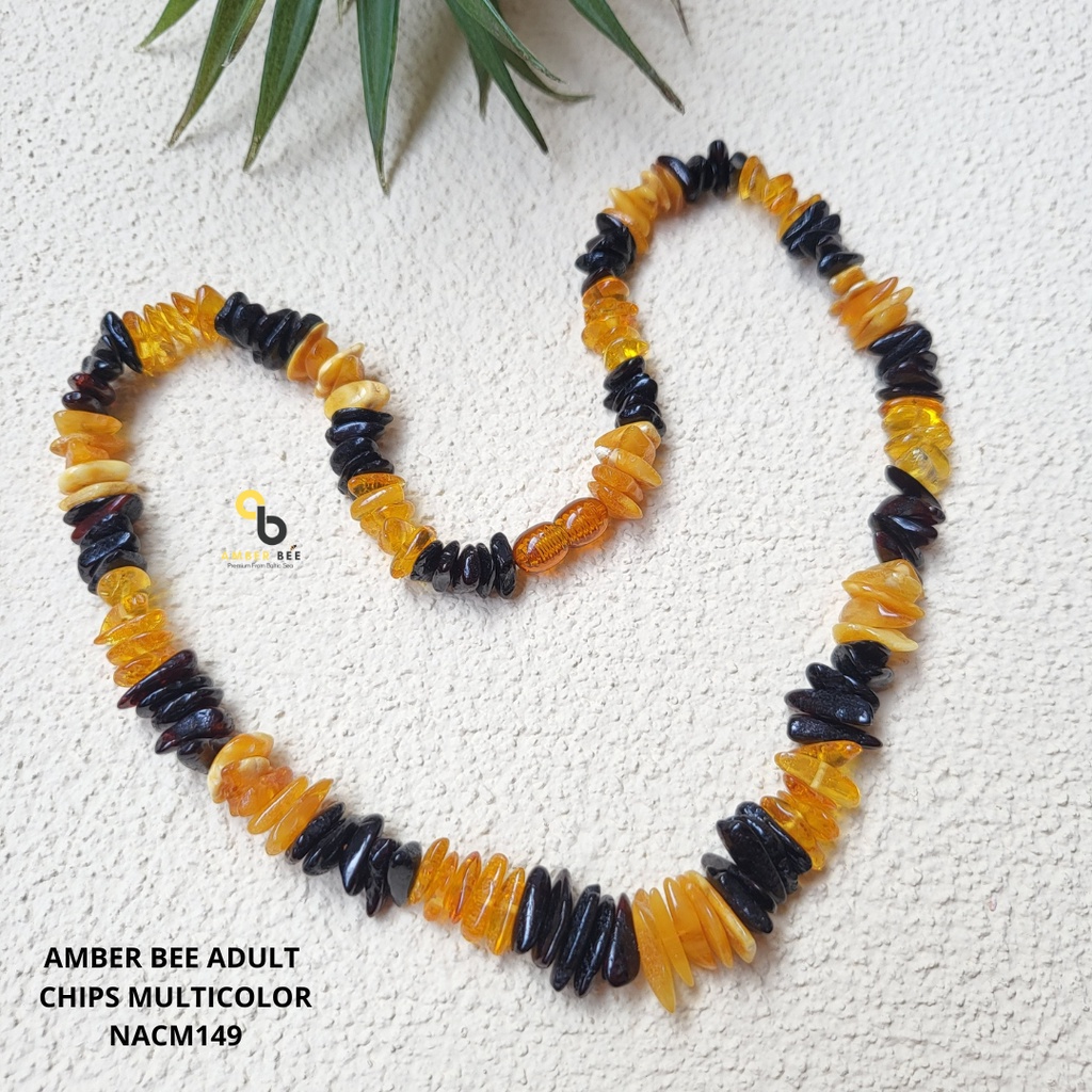 Kalung Amber Dewasa Premium Glossy Chips ANGCM149 By Amber Bee