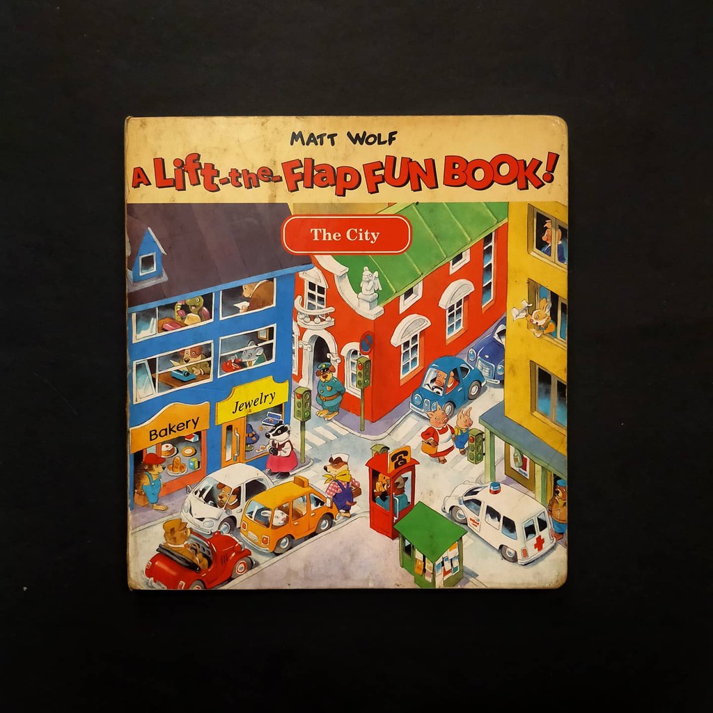 Buku Anak A Lift the Flap Fun Book the City