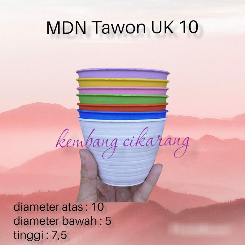 MODEL TAWON MDN UK 10 pot bunga model tawon kecil mungil pot kaktus pot mini bagus warna warni