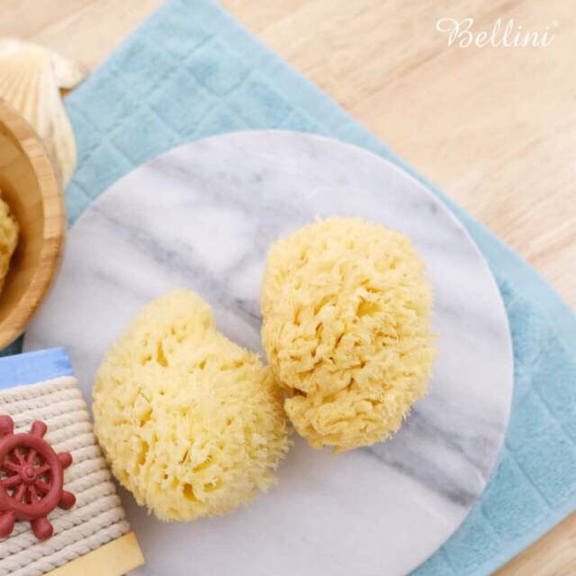 Bellini Sea Sponge / spons mandi bayi