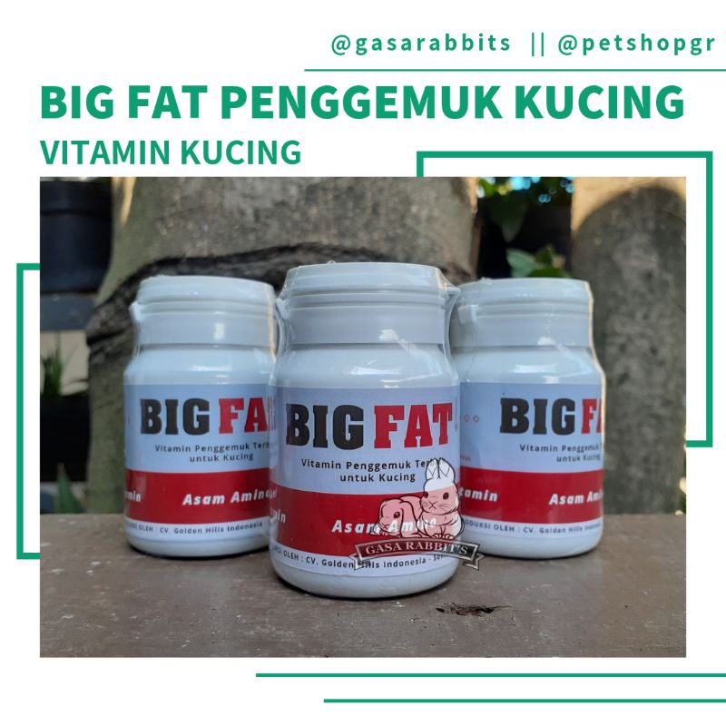 BIG FAT VITAMIN KUCING - VITAMIN PENGGEMUK KUCING - VITAMIN KUCING BIG FAT - PENGGEMUK KUCING BIGFAT