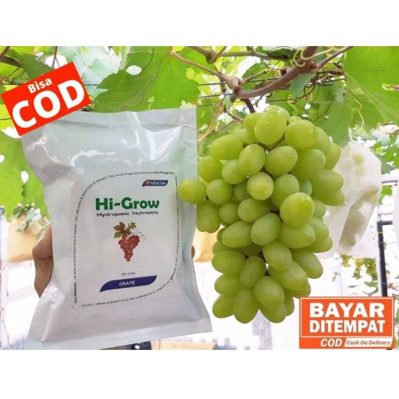 PUPUK ANGGUR Hi-Grow Nutrisi AB Mix Hidroponik Anggur