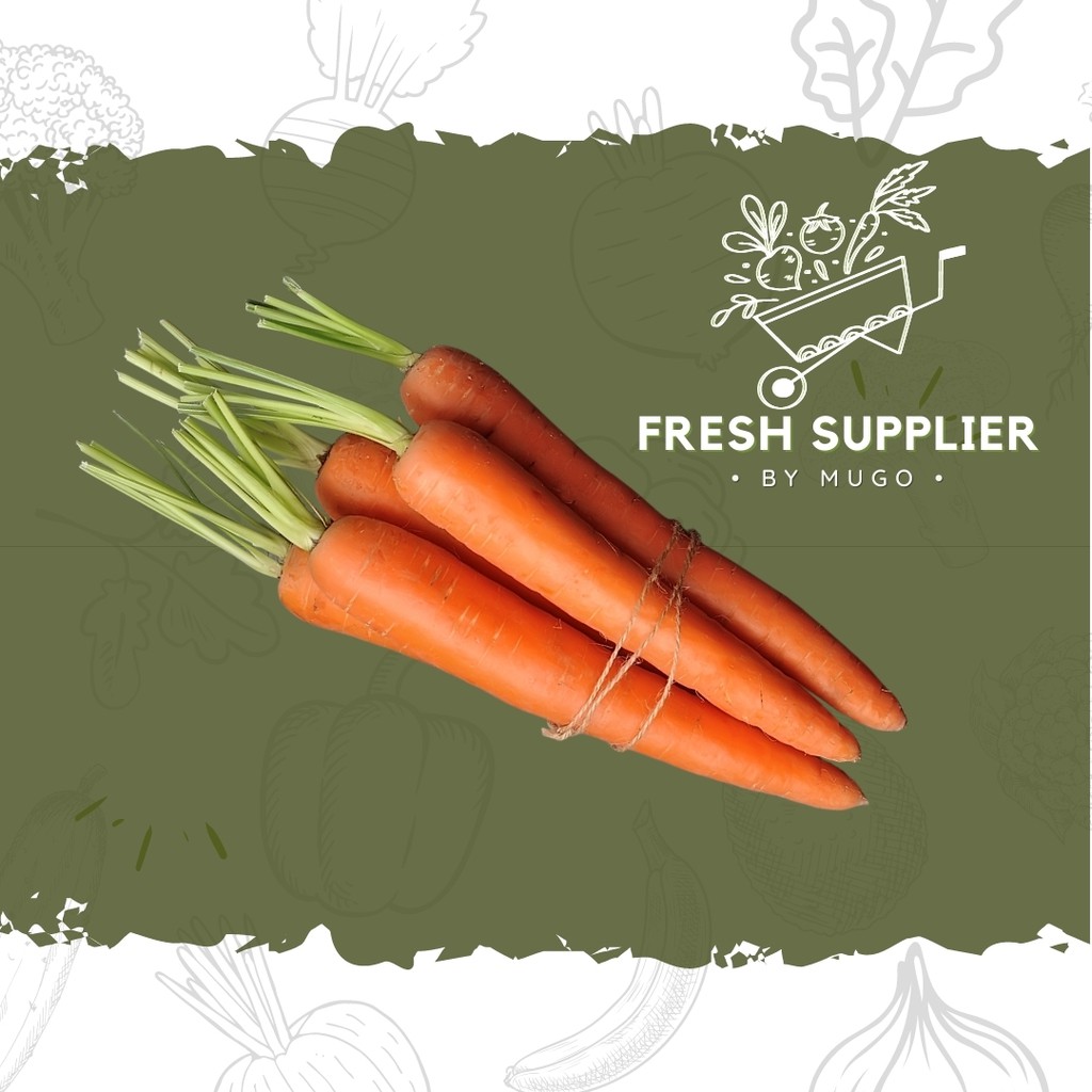 

Wortel Import 500g Fresh Supplier