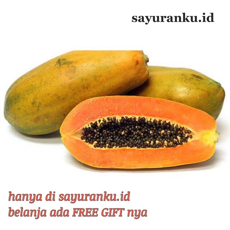 buah pepaya california/ pepaya california/ pepaya - 1 kg
