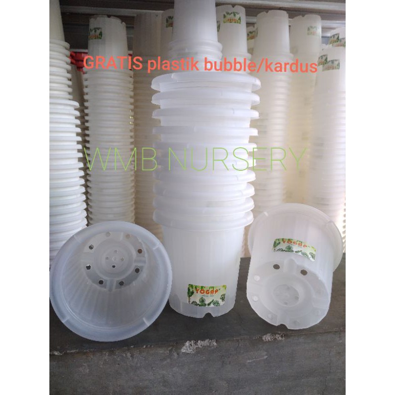 LUSINAN. Pot YOGAP YPT 10