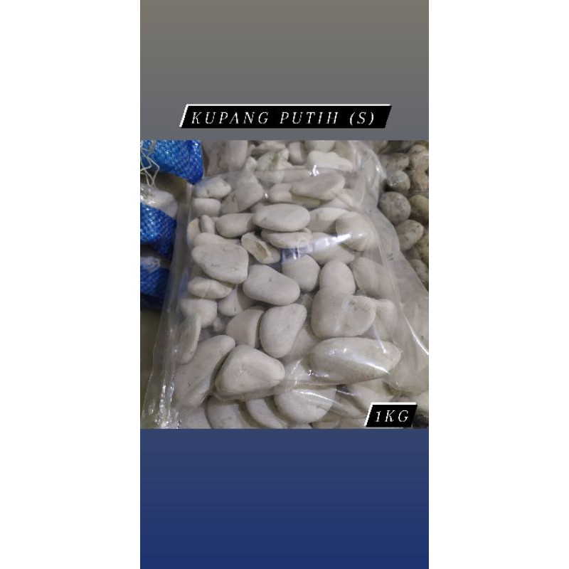Batu taman koral putih (s) 1kg