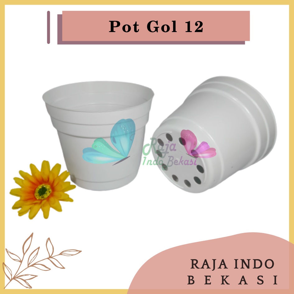 Rajaindobekasi Pot 12 Putih Polos - Pot 12 Cm Putih Kecil Mini Minimalis Plastik Kaktus Sukulen Mini Murah Pot Bibit Pembibitan