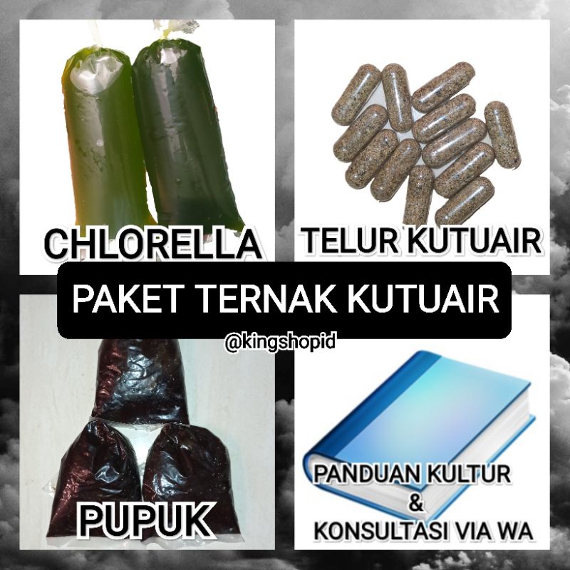 Paket ternak kutu air moina macrocopa telur kutu air extra pupuk