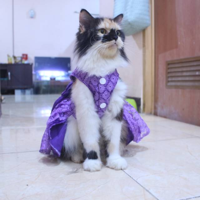 Dress satin renda ungu lucu untuk kucing dan anjing / baju kucing murah size S-XL