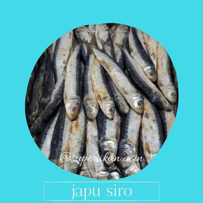 

IKAN ASIN JAPU SIRO