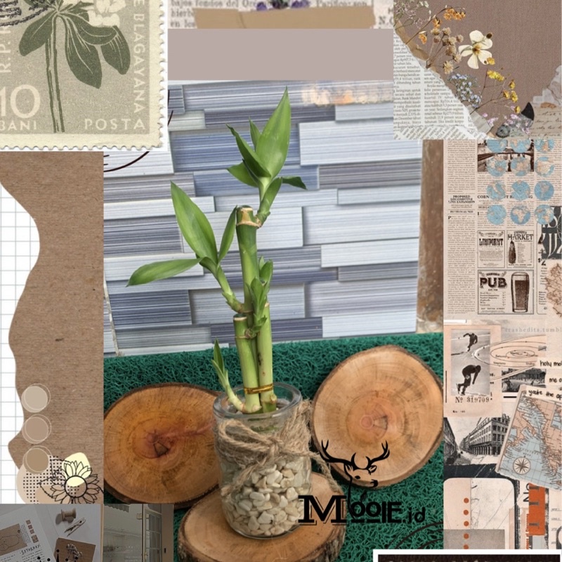 MOOIE.ID - Woodenn Coasters Unique Rustic Vintage Diameter 8-10cm //Tatakan Kayu // Hiasan Bunga // 