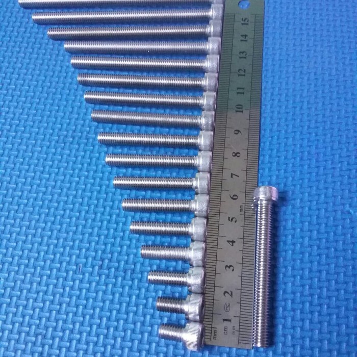 baut 10/6x55 stainless