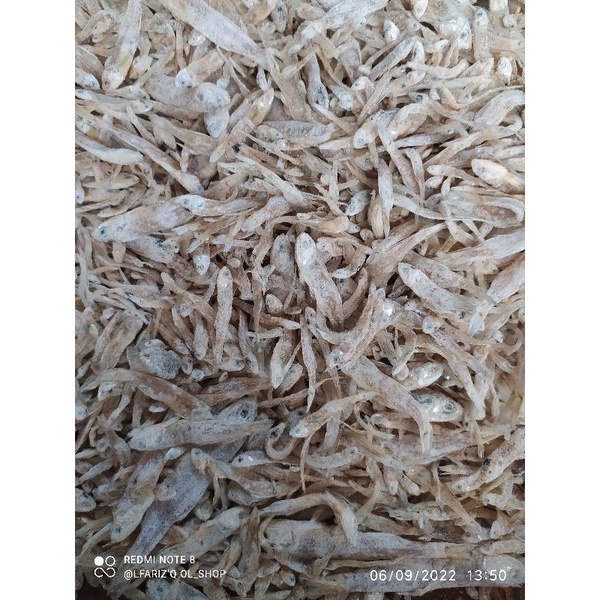 

ikan asin campur /100gr