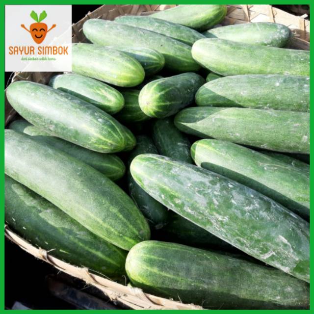 

Timun Acar 500 Gram