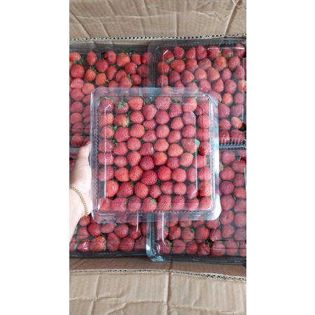 

PO Buah strawberry segar 900-1000gr/pack