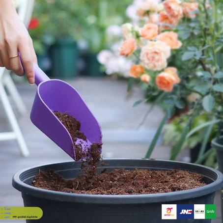 ← Scoop Sendok Sekop Serok shovel plastik tanah alat berkebun medium 2J - Ungu ♘