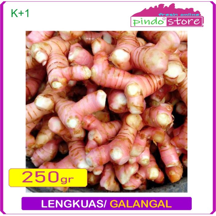 

LENGKUAS SEGAR DAN BERSIH / GALANGAL 250 GRAM