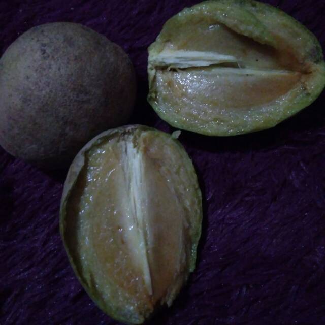 

Buah sao khas sumbar , spesifik sumpur singkarak ,sangat manis tersedia saatvmusin musin tertentu.