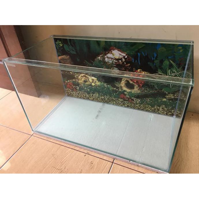 Aquarium Custom