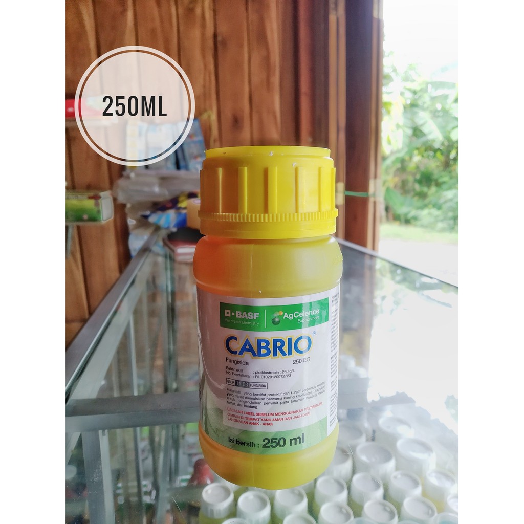 Cabrio 250EC Fungisida Kemasan 250ml/Fungisida Cabrio 250EC 250ml/Cabrio TM 250 EC 250 ml