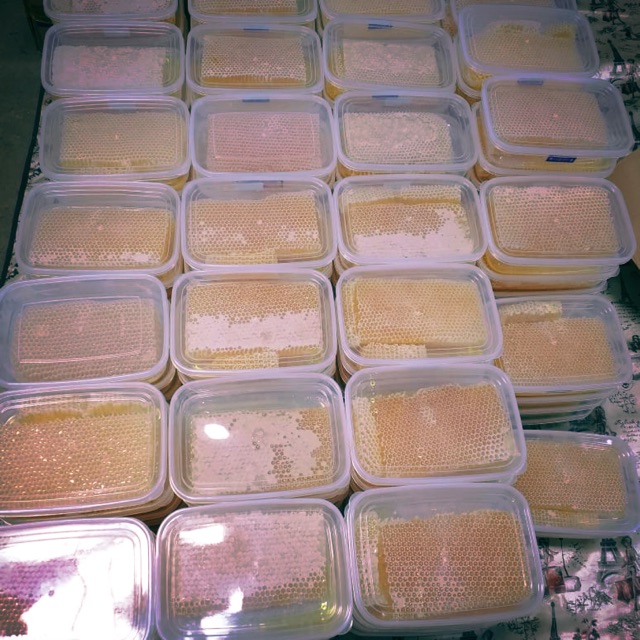 

Sarang Madu