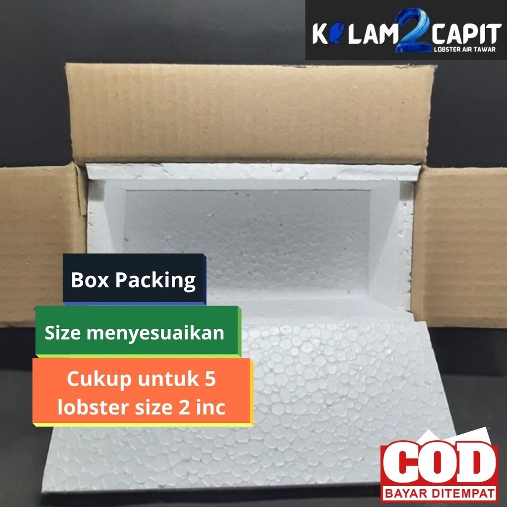 

BOX PACKING LOBSTER IKAN STEROFOAM KERDUS
