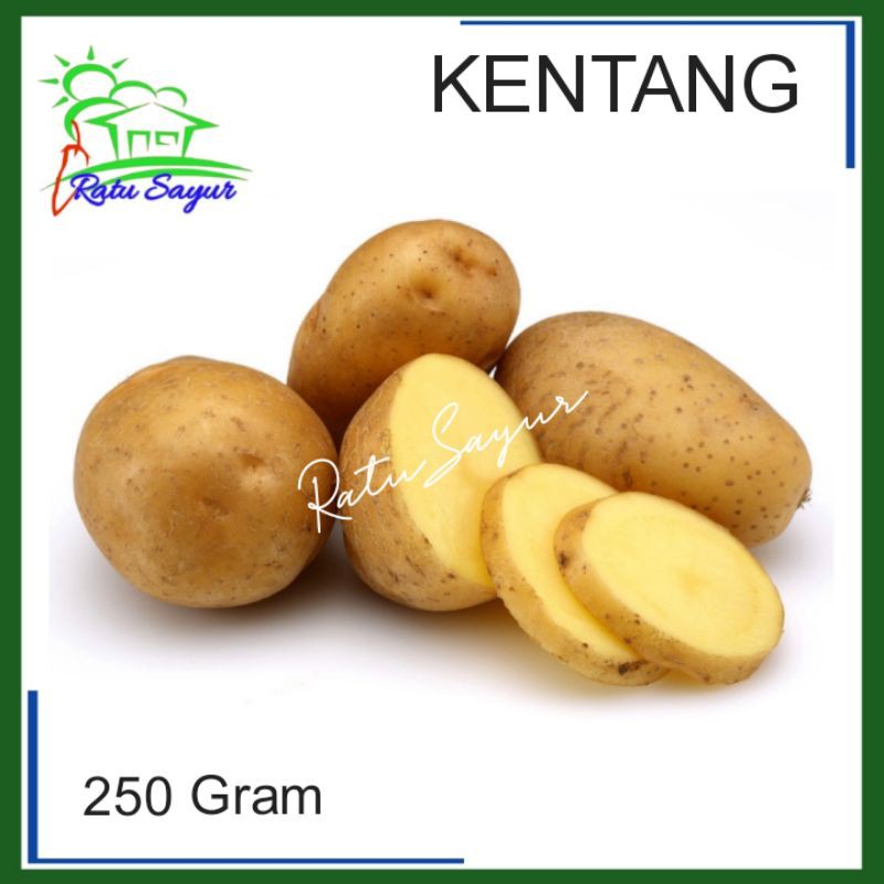 

KENTANG/Ratu Sayur Cikeas [250]